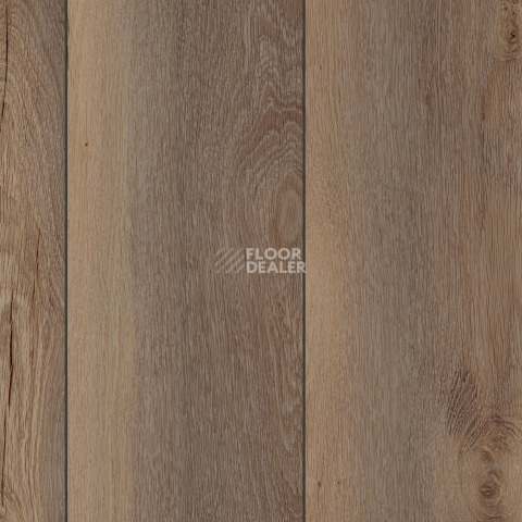 Kronotex Exquisit 8мм d81002 Дуб Гнарренбург коричневый фото 5 | FLOORDEALER